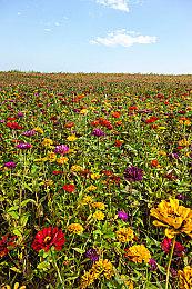 NS版《骇客时空：最后的记录》序章视频公开 3月10日发售